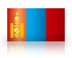 .mn-Domain registrieren