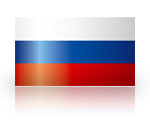 .ru-Domain registrieren