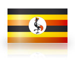 .ug-Domain registrieren