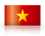 .vn-Domain registrieren