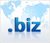 .biz-Domain registrieren