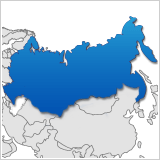 .ru-Domain registrieren