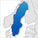 .se-Domain registrieren