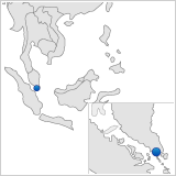 .sg-Domain registrieren