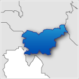 .si-Domain registrieren
