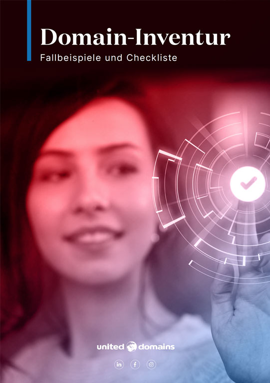 Whitepaper Checkliste Domain Inventur