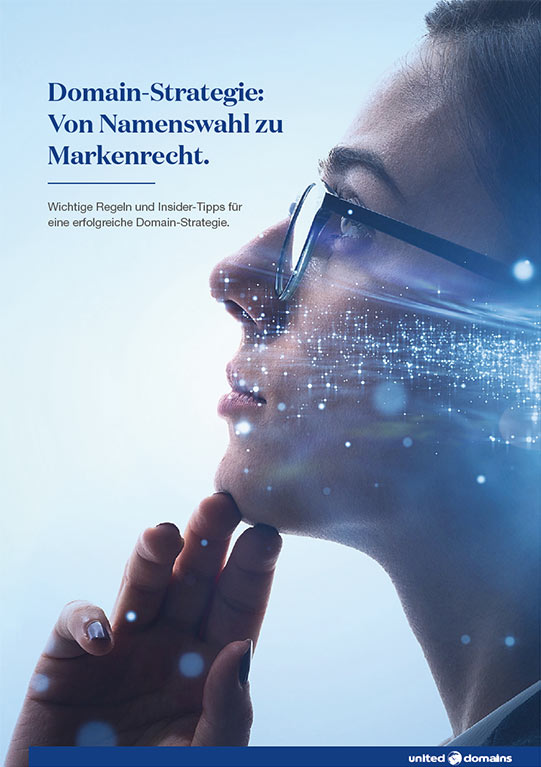 Whitepaper Domain-Strategie