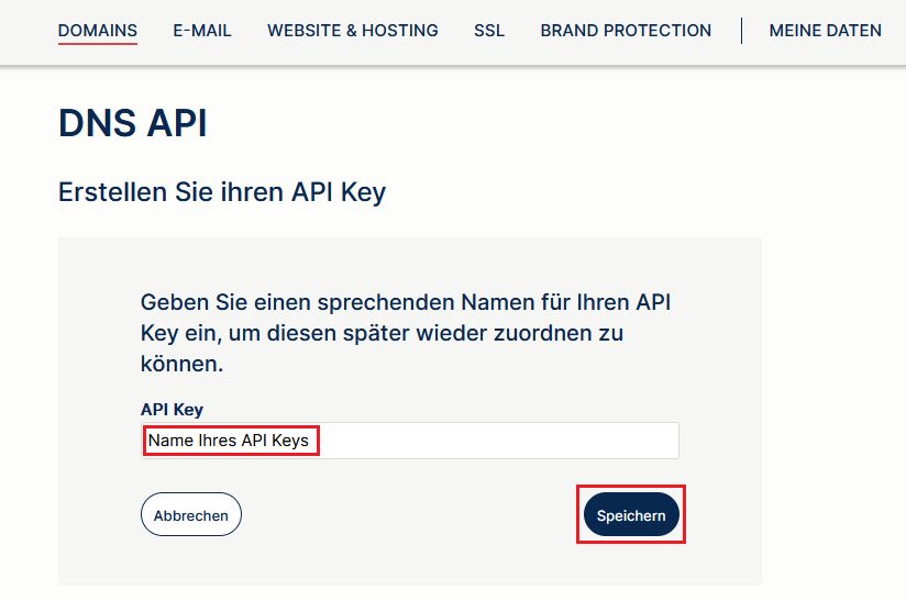 Name API Key