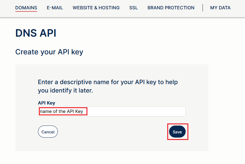 API key name